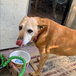 Meet your Posher, Shelly